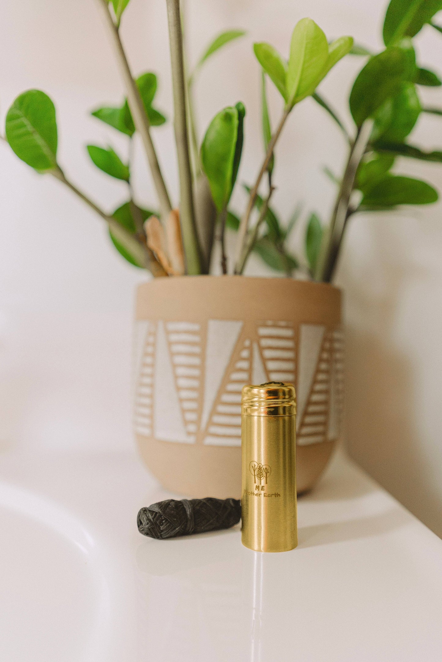 Vegan Biodegradable Charcoal Dental Floss - Stainless Steel