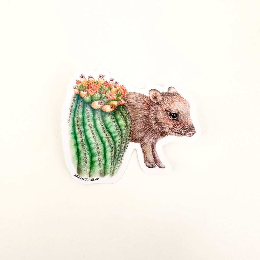 Desert Wildlife Stickers (Small)