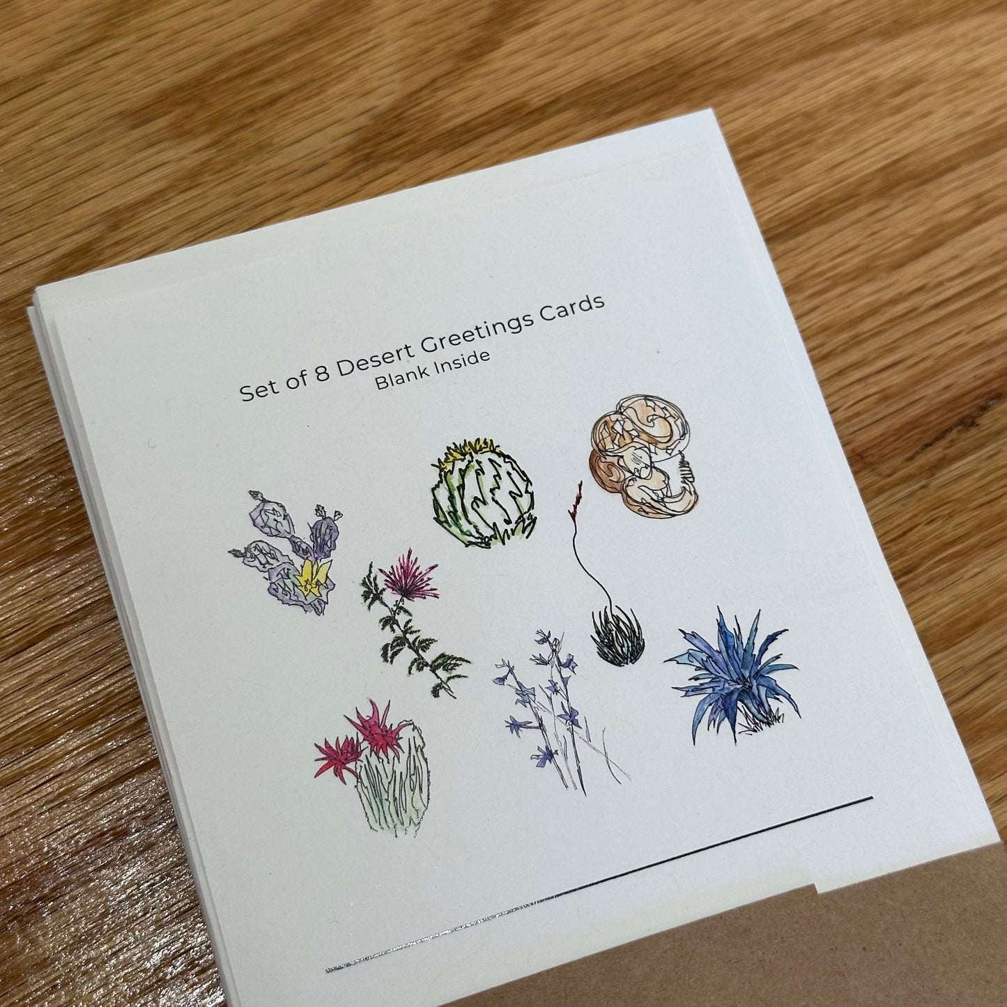 Desert Illustrations Folding Card 8 Pack