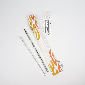 Reusable Straw Set